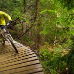 how to ride a mountain bike for beginners