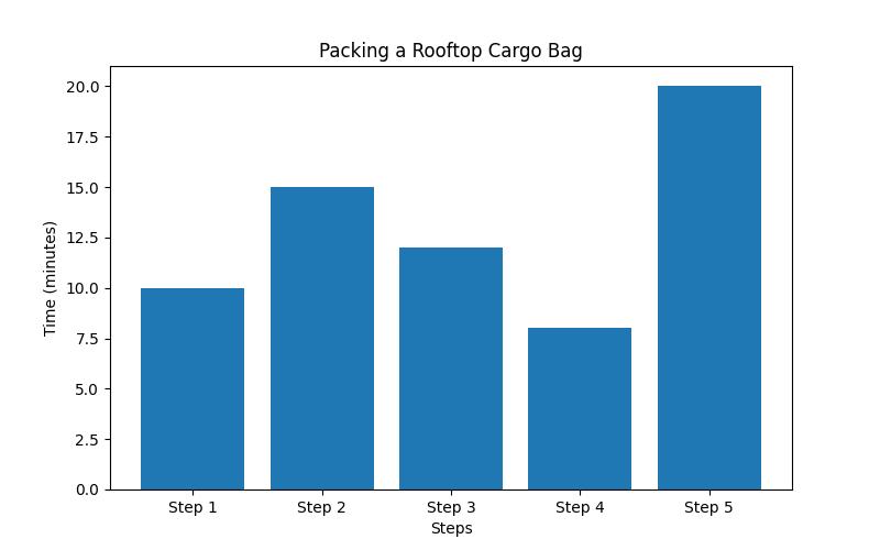 Top Tips for Safe and Secure Packing of a Rooftop Cargo Bag